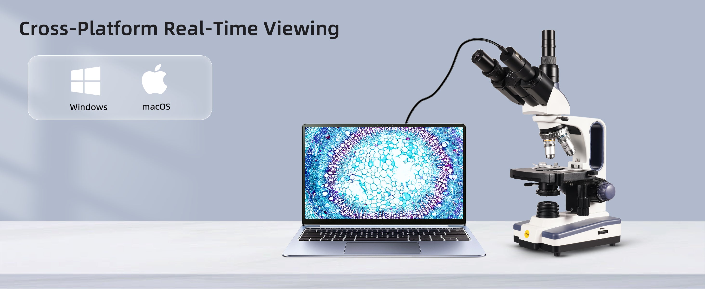 digital eyepiece microscope camera - size reference comparison | SCOPEYE UK