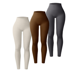 【2-3day delivery】 1 Pair or 3 Pairs  Boltoo High Waist seamless Sports Legging