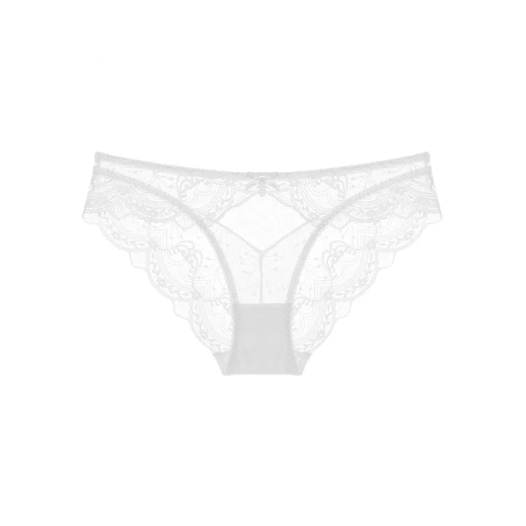 Boltoo Lace Briefs8249