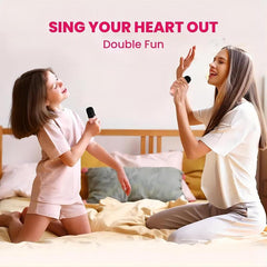 Portable Wireless Karaoke Speaker With Wireless Microphone, HIFI Stereo Sound KTV Speaker