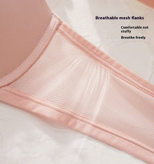 Boltoo Perfect Coverage Bra1670